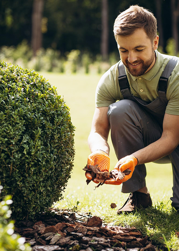 A landscaper tending to a garden bed in Cairns.