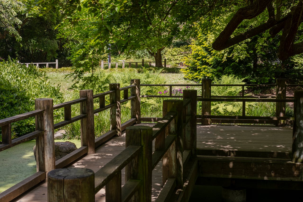 A wooden footbridge over a quiet garden waterway