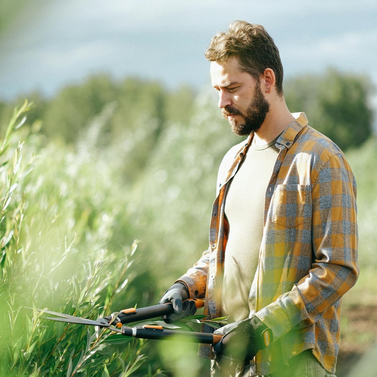 pexels shvetsa 5027614