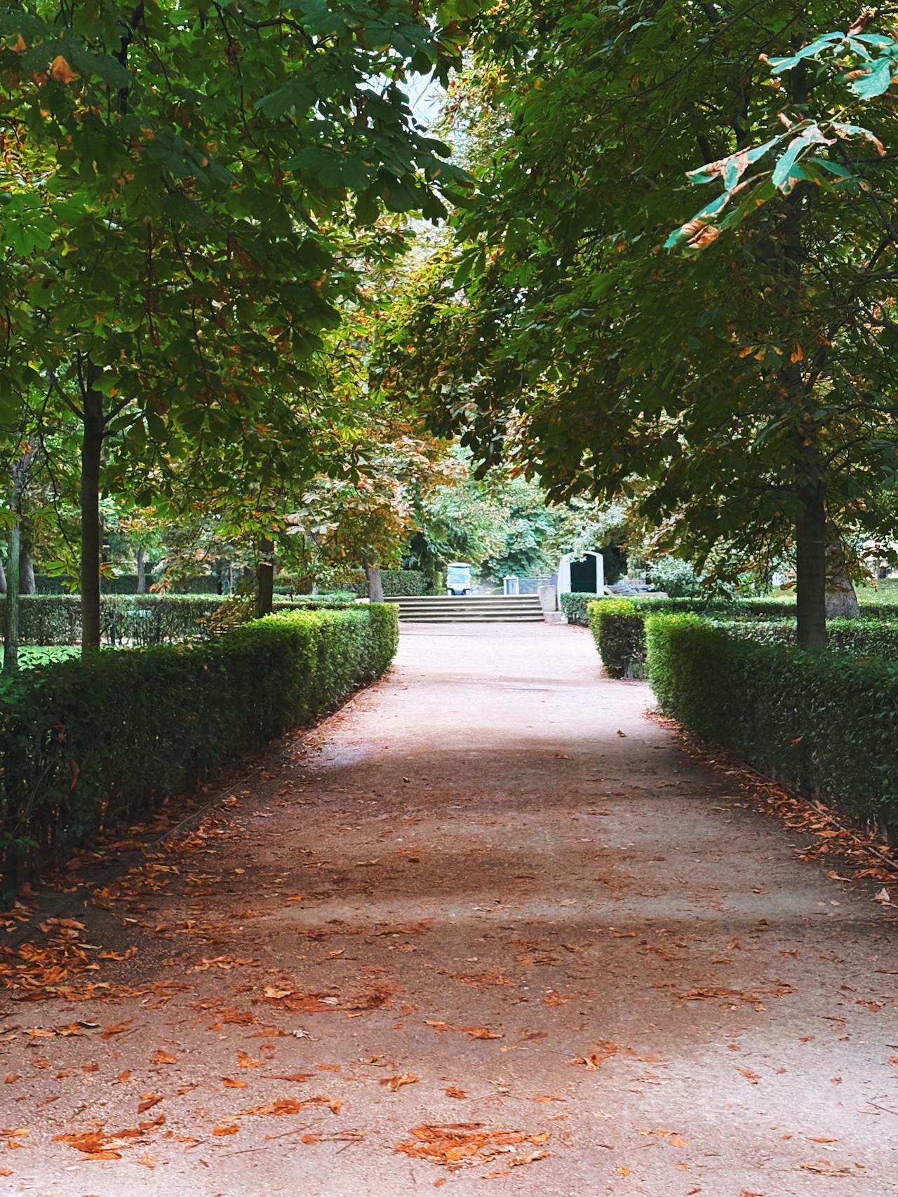 pexels smail dahmani 2278818 33630903