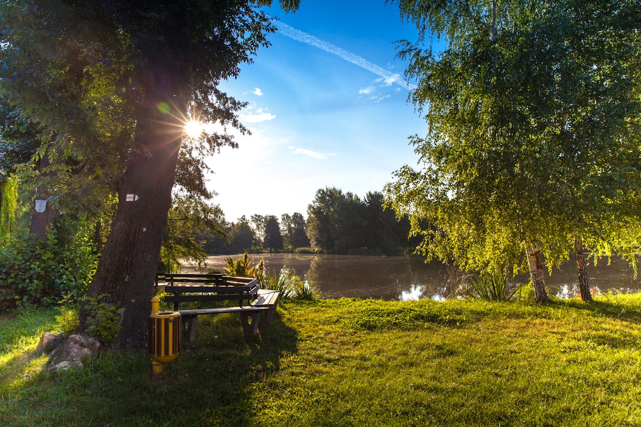 A lakeside park with shaded seating