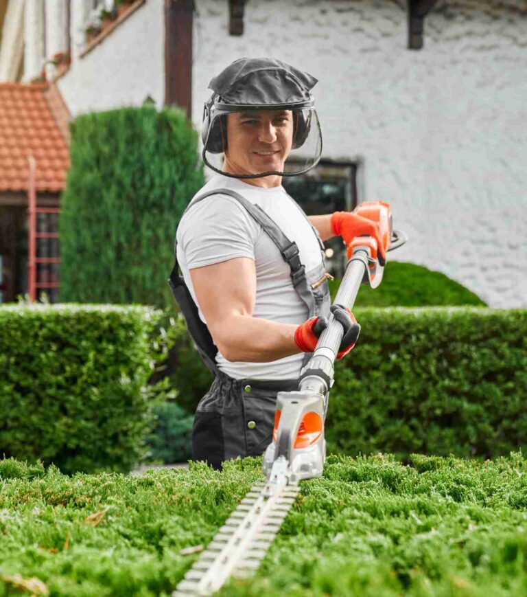 pruning in landscaping