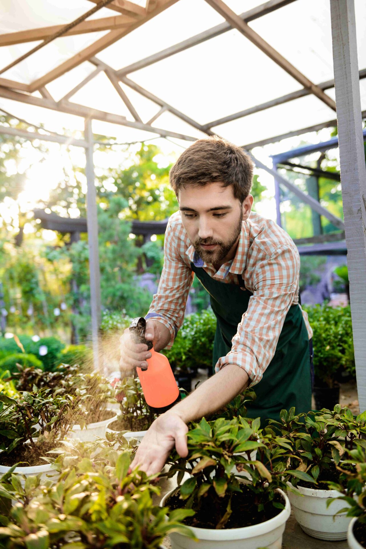 young handsome cheerful gardener smiling watering taking care plants 11zon