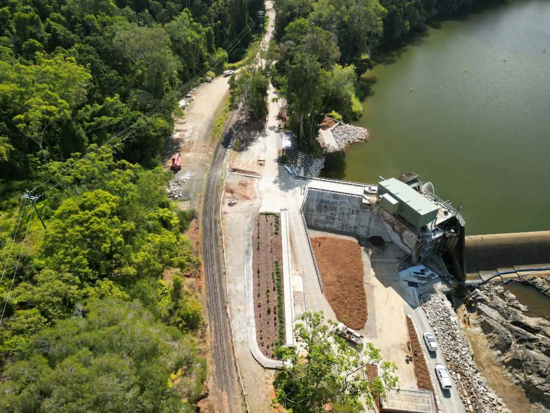 aerial of regeneration