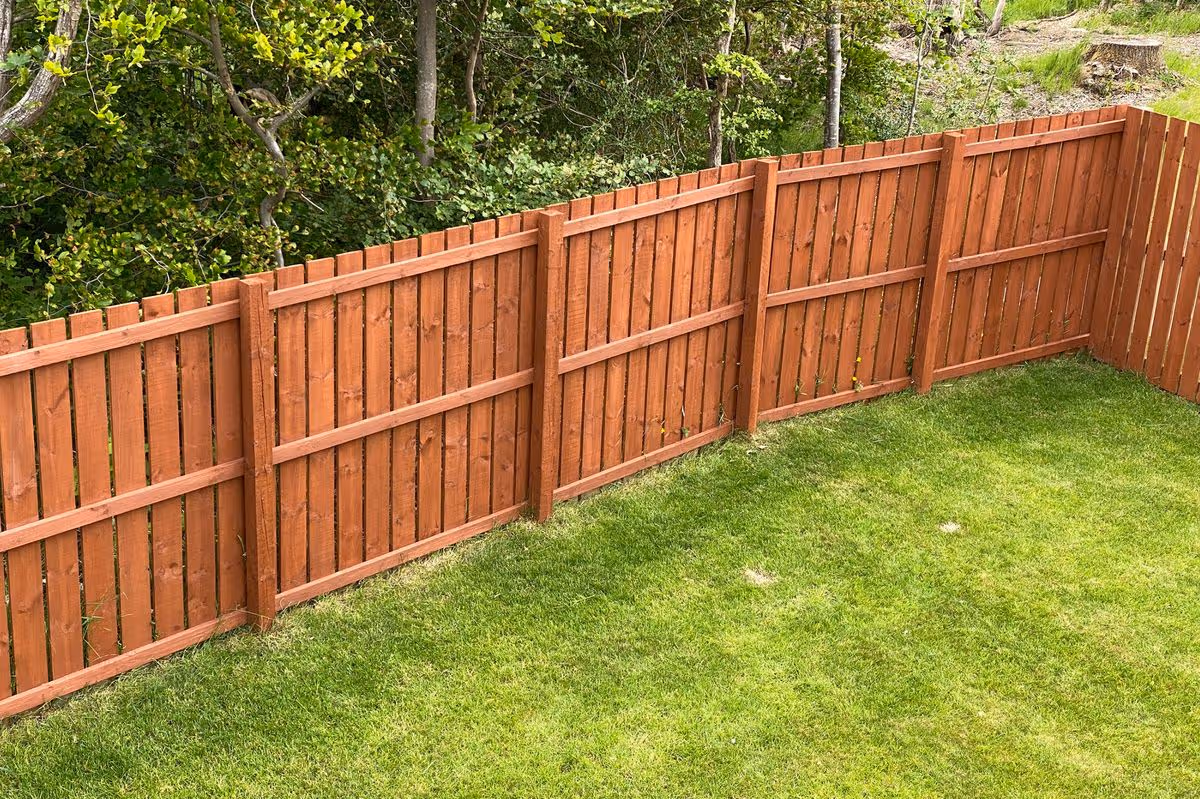 fence (1)